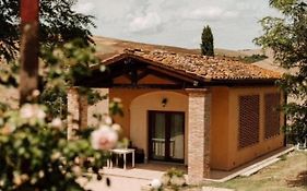 Agriturismo Podere Campaini